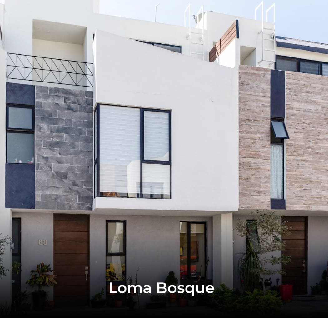 Loma Bosque